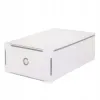 Úložný box na topánky 31x20,5x11 cm SPRINGOS HA3000 priehľadný
