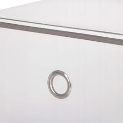 Úložný box na topánky 31x20,5x11 cm SPRINGOS HA3000 priehľadný