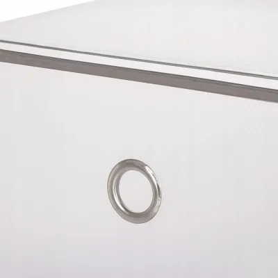 Úložný box na topánky 31x20,5x11 cm SPRINGOS HA3000 priehľadný