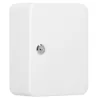 Skrinka na kľúče 20 háčikov 20×16×7,5 cm SPRINGOS HA5028 biela