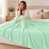 Deka 200x220 cm SPRINGOS Splendit HA7157 svetlo zelená