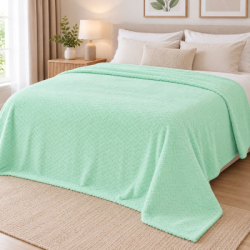 Deka 200x220 cm SPRINGOS Splendit HA7157 svetlo zelená