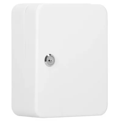 Skrinka na kľúče 48 háčikov, biela SPRINGOS TX5031