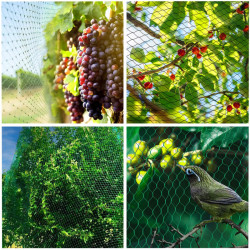 Sieť proti vtákom 5x50 m SPRINGOS AB0001