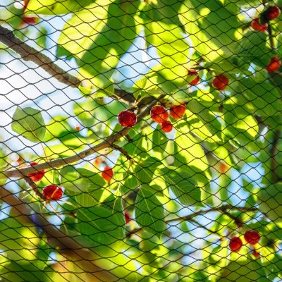 Sieť proti vtákom 10x20 m + 20 kolíkov SPRINGOS AB0003