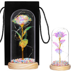 Večná ruža v skle s ľad osvetlením SPRINGOS HA5159