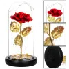 Večná ruža v skle s ľad osvetlením SPRINGOS HA5157