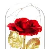Večná ruža v skle s ľad osvetlením SPRINGOS HA5157