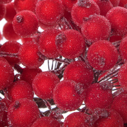 Vianočné jarabiny zmrznuté červené sada 200ks