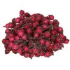 Vianočné jarabiny zmrznuté tmavo červené sada 200ks