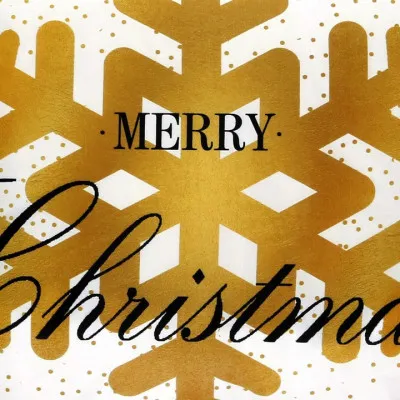 Obliečka na vankúš 40x40 cm Merry Christmas bielo-zlatý