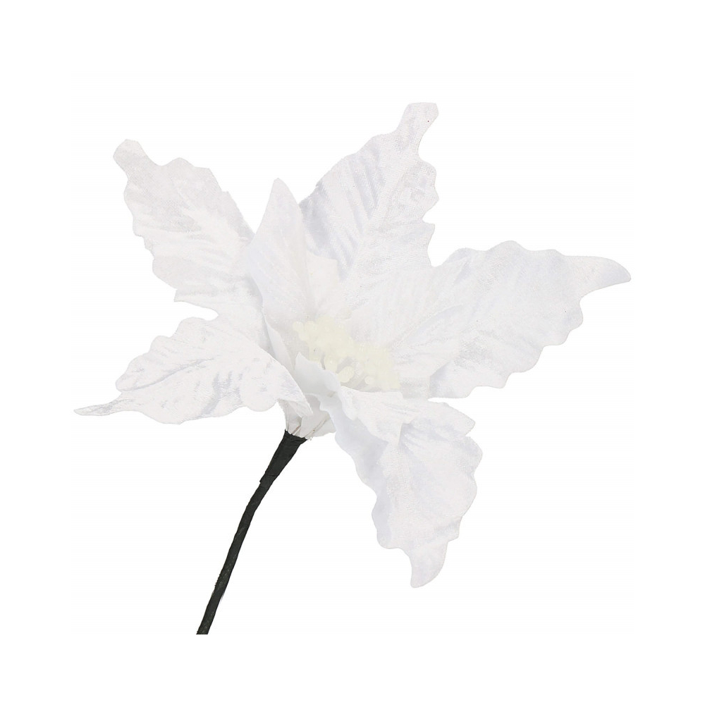 Vianočná hviezda na stonke 26x19 cm, biela