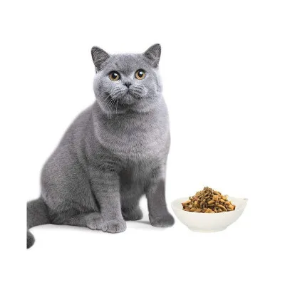 Keramická miska 11x15 cm SPRINGOS SIGI