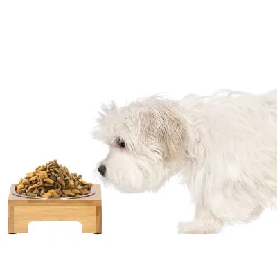 Nerezová miska so stojanom 14 cm pre psa / mačku