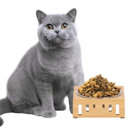 Nerezová miska so stojanom 14 cm pre psa / mačku