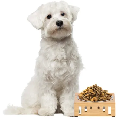 Nerezová miska so stojanom 14 cm pre psa / mačku