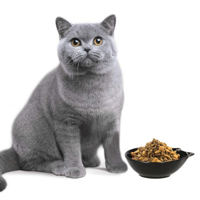 Keramická miska 11x15 cm pre psa / mačku SPRINGOS SIDNEY