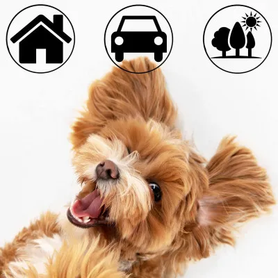 Chladiaca podložka pre psa 40x30 cm, modrá SPRINGOS CHILL