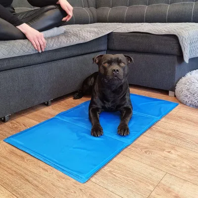 Chladiaca podložka pre psa 40x30 cm, modrá SPRINGOS CHILL