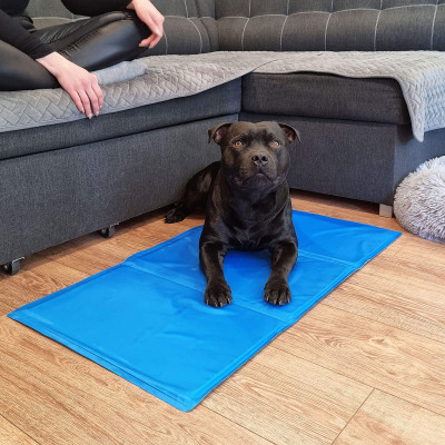 Chladiaca podložka pre psa 40x30 cm, modrá SPRINGOS CHILL