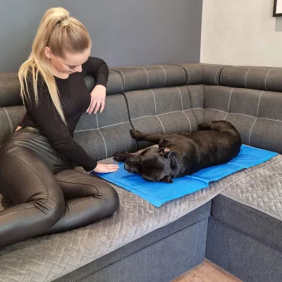 Chladiaca podložka pre psa 40x30 cm, modrá SPRINGOS CHILL