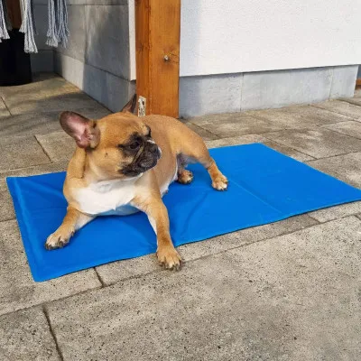 Chladiaca podložka pre psa 40x30 cm, modrá SPRINGOS CHILL
