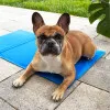 Chladiaca podložka pre psa 40x30 cm, modrá SPRINGOS CHILL