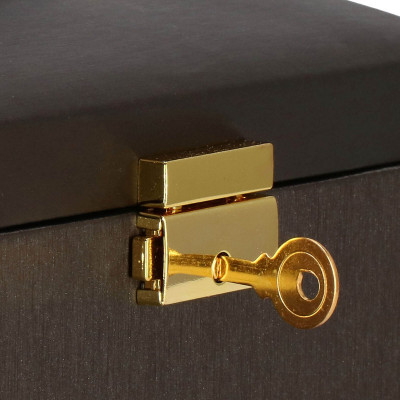 Šperkovnica SPRINGOS SAVAGE čierna